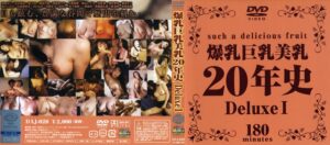 【昭和のAV女優】乳房爆発巨大乳房美デラックス20年の歴史1   -葉山レイコ-