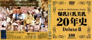 【昭和のAV女優】爆乳・巨乳美女デラックス2 20年の歩み   -冴島奈緒-